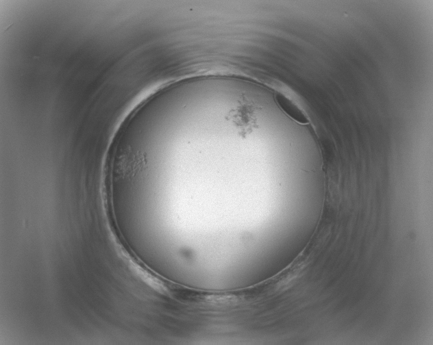 X0000054331142200508111912.png