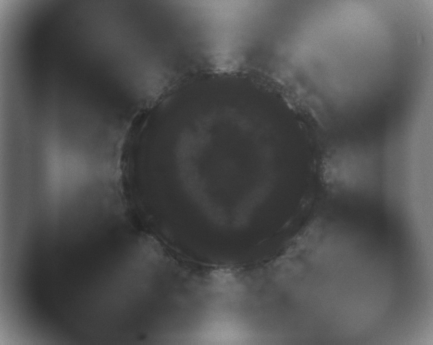 X0000040660516200411092014.png