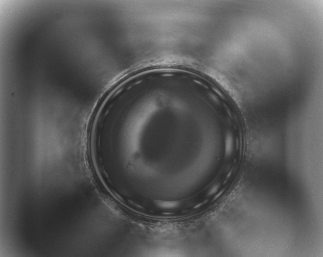X0000045390850200501241401.png