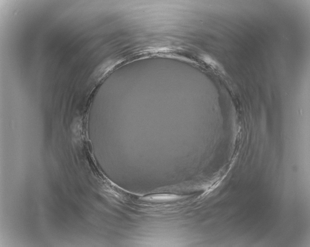X0000054351353200508190117.png