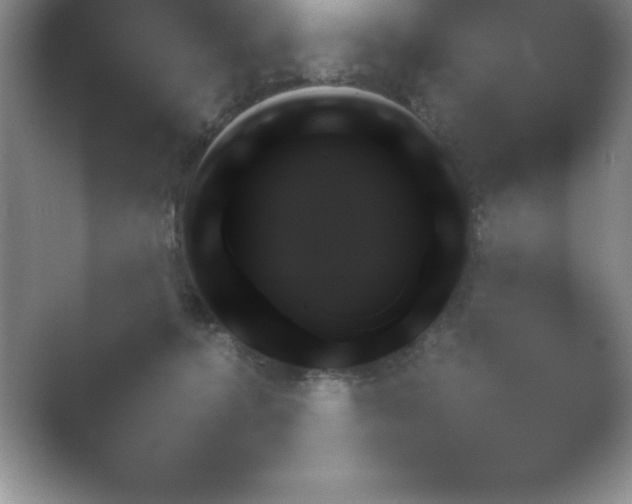 X0000054730368200508171858.png