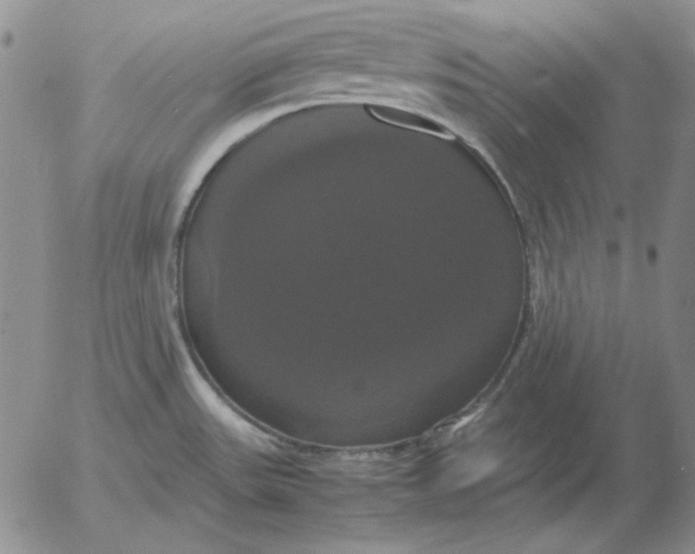 X0000054171531200508101747.png
