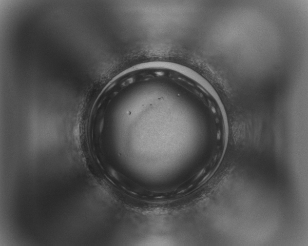X0000047470637200503091600.png