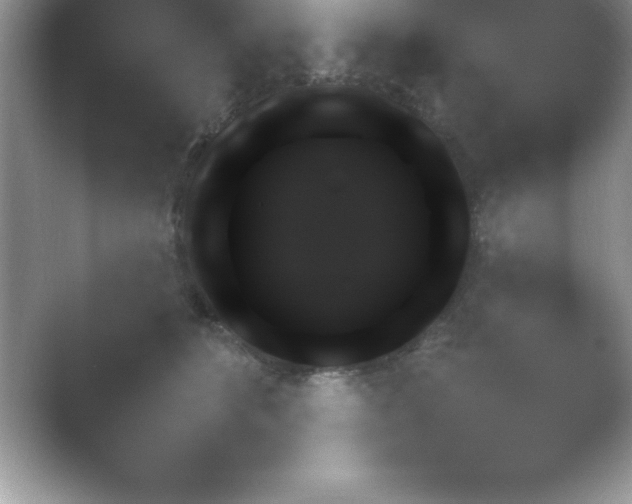 X0000054730516200508171855.png