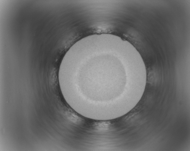 X0000053460318200508112204.png