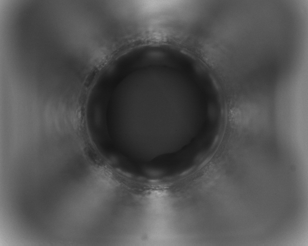 X0000054730552200508171854.png