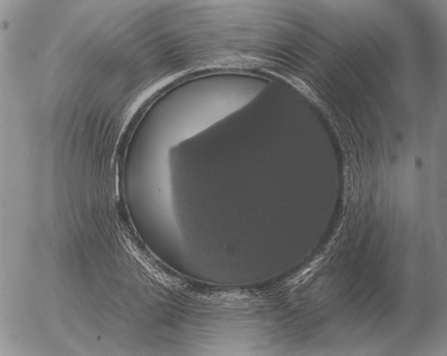 X0000054170838200508101757.png