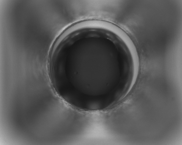 X0000054730956200508171848.png