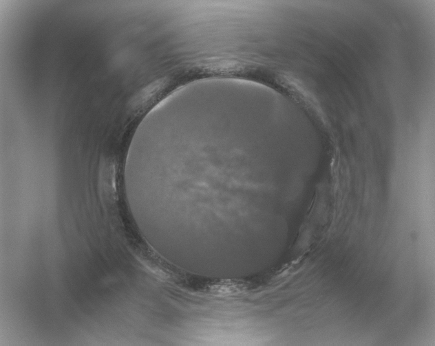 X0000054350115200508190138.png