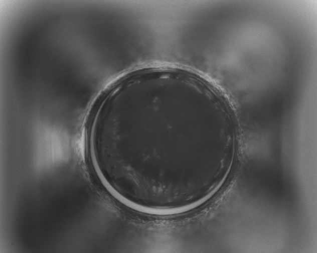 X0000045391223200501241354.png