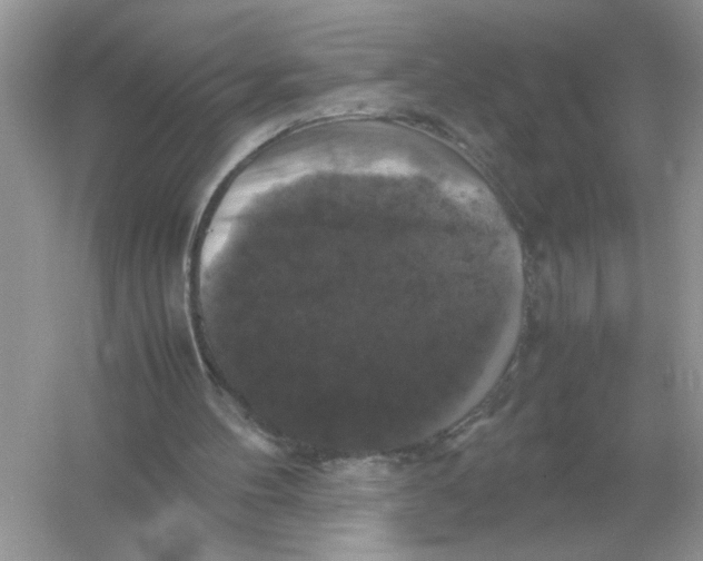 X0000054350100200508190139.png