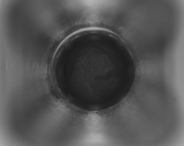 X0000054730640200508171853.png