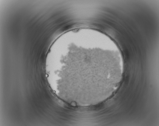 X0000053461481200508112144.png