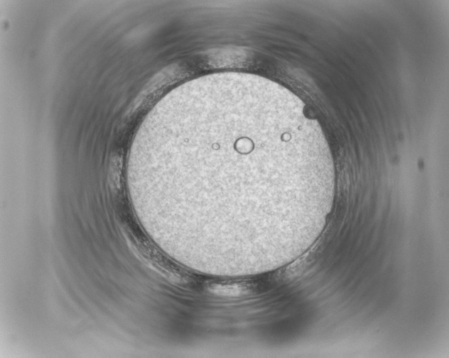 X0000054230171200508171521.png