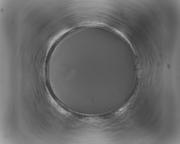 X0000054170995200508101755.png