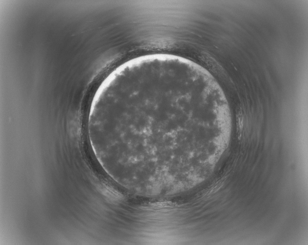 X0000054350396200508190133.png
