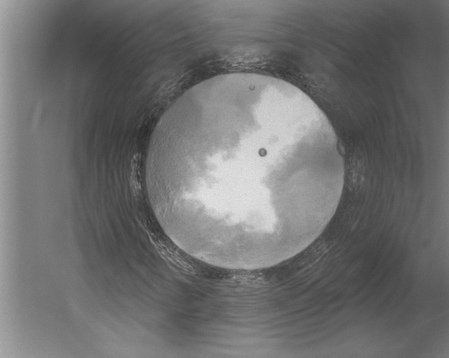 X0000055251346200509071605.png