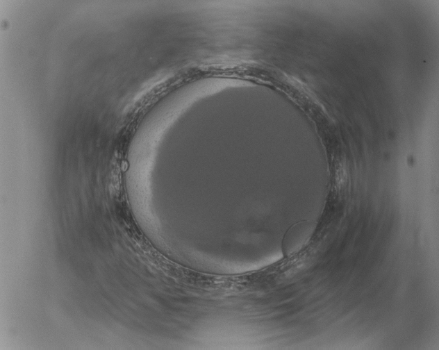 X0000054171350200508101749.png