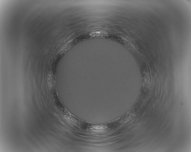 X0000054350659200508190129.png