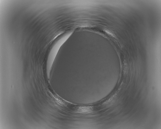 X0000054351305200508190118.png