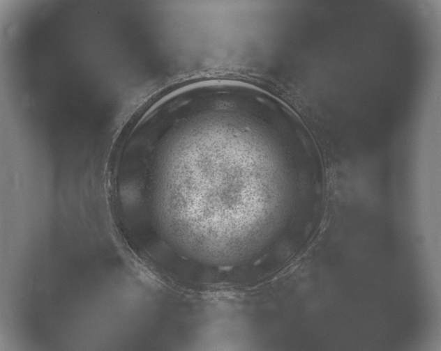 X0000052280242200507132036.png