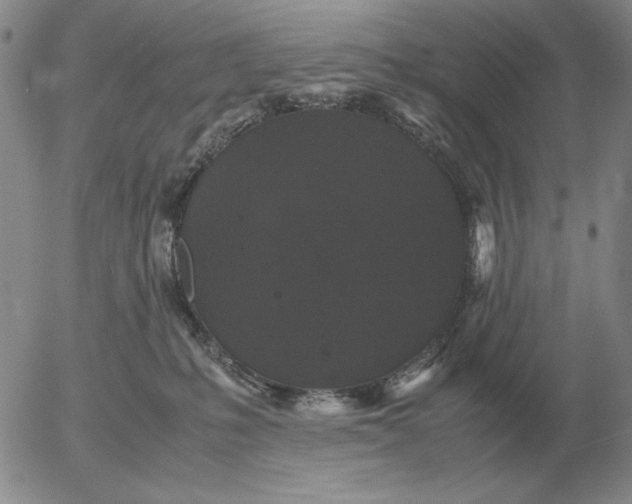 X0000054170231200508101808.png