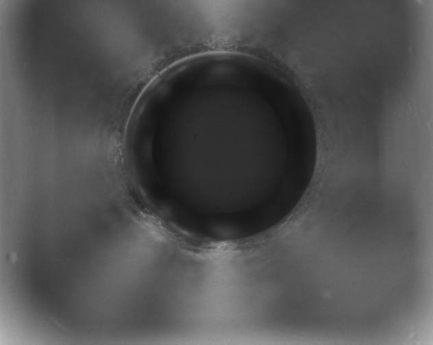 X0000054730288200508171900.png