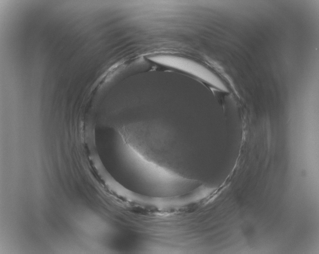 X0000054350154200508190137.png