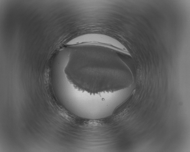 X0000055250475200509071620.png