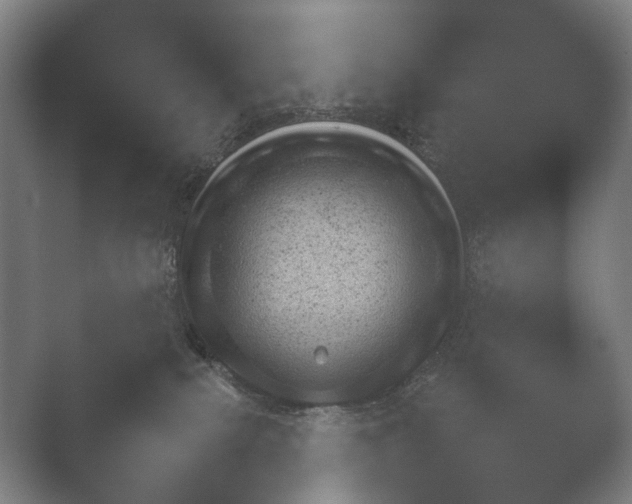 X0000052280087200507132040.png