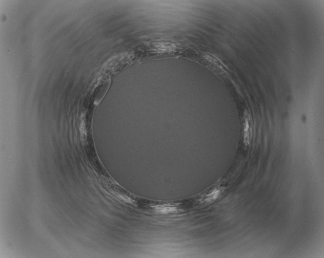 X0000054170516200508101803.png