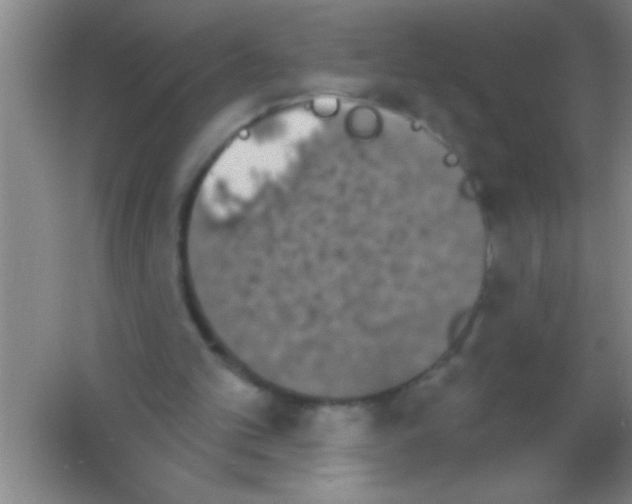 X0000053460101200508112208.png