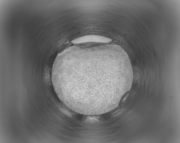 X0000054270573200508261919.png