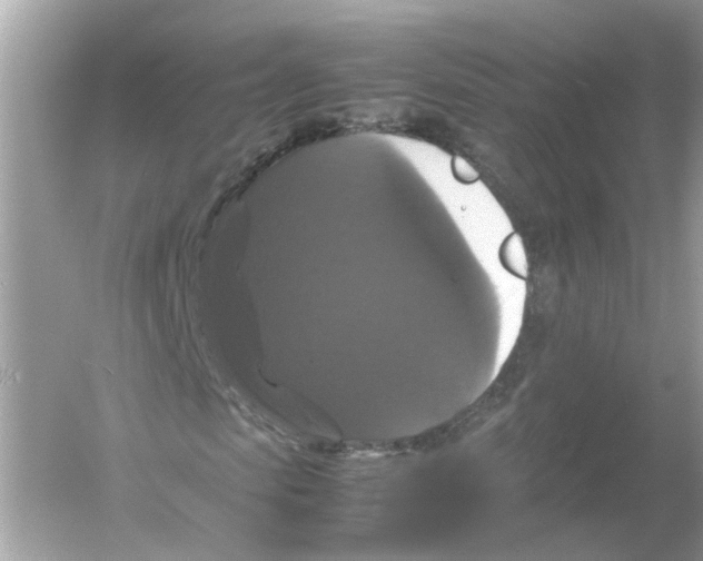 X0000054350913200508190124.png