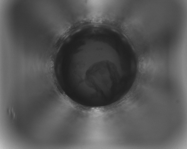 X0000054730573200508171855.png