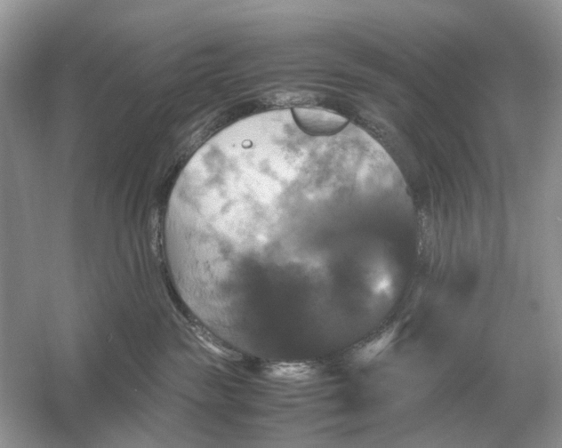 X0000054350189200508190138.png