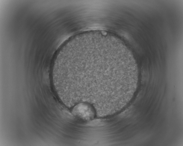X0000053461162200508112150.png