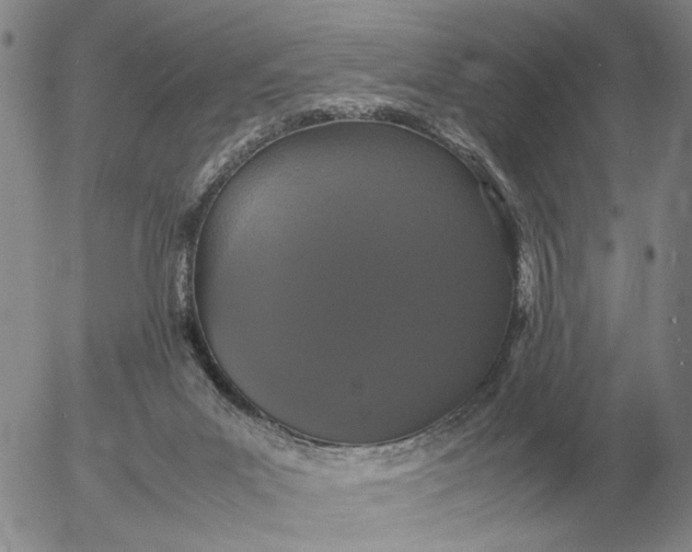 X0000054170023200508101811.png
