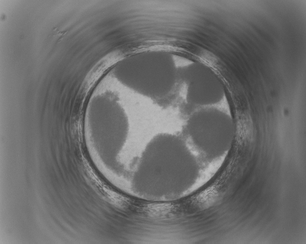 X0000054581282200508300051.png