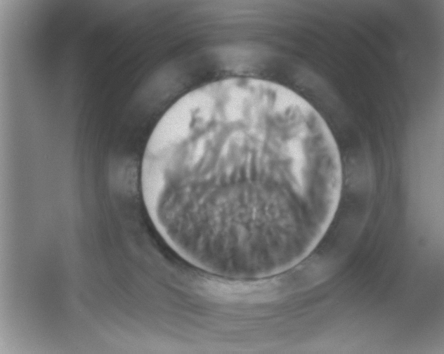 X0000053460036200508112209.png