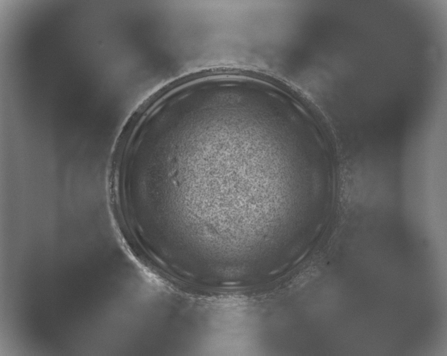 X0000052280991200507132024.png