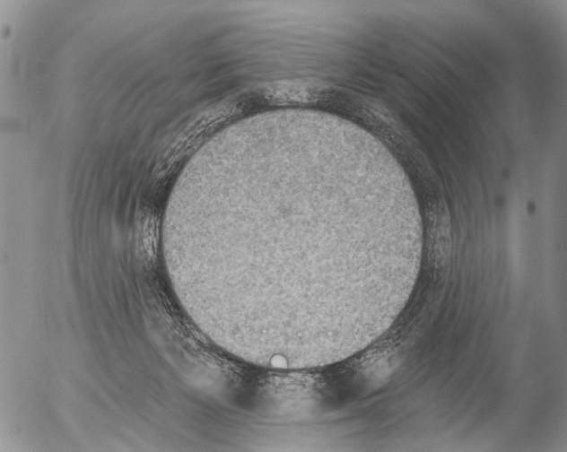 X0000054580125200508300110.png