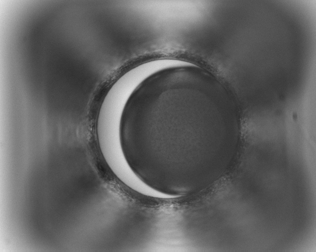 X0000038740736200410051342.png