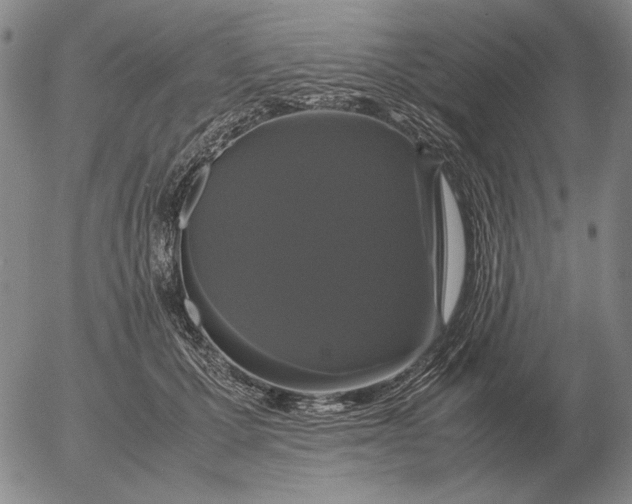 X0000054170607200508101801.png