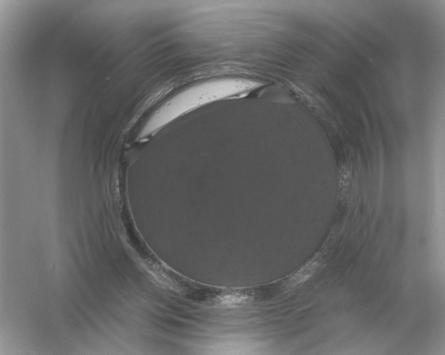 X0000054350158200508190137.png