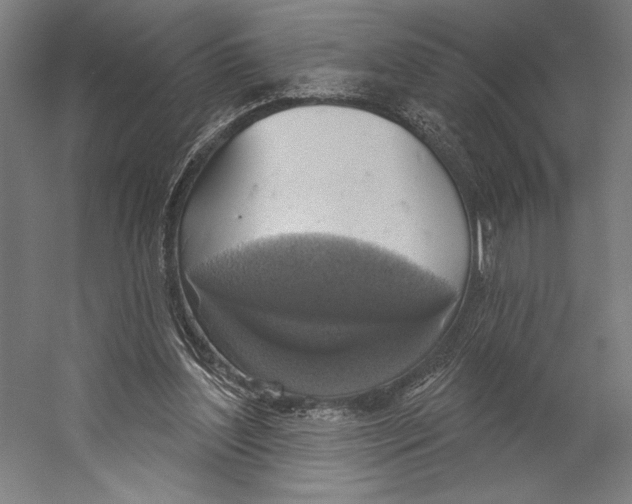 X0000055250204200509071624.png