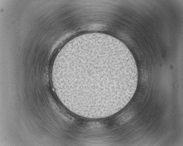 X0000054580392200508300106.png