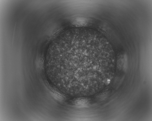 X0000053460604200508112159.png