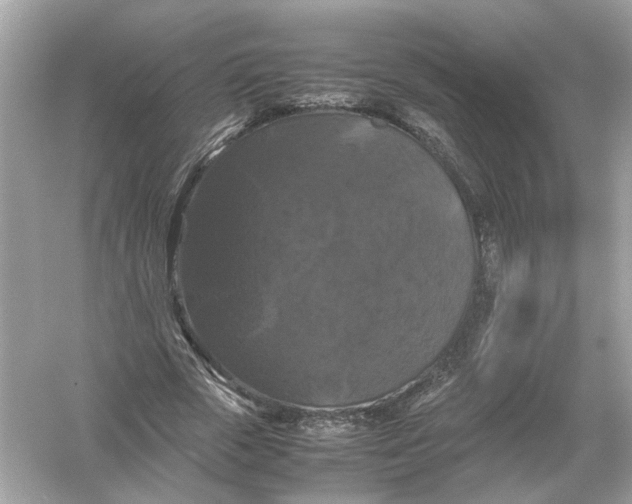 X0000054350729200508190127.png