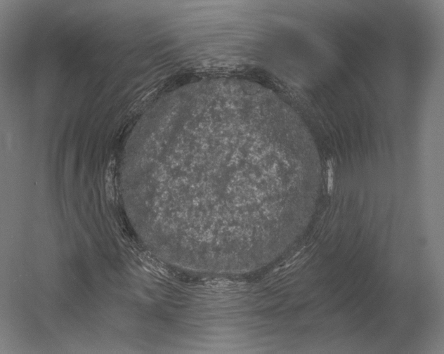 X0000055211059200508301316.png